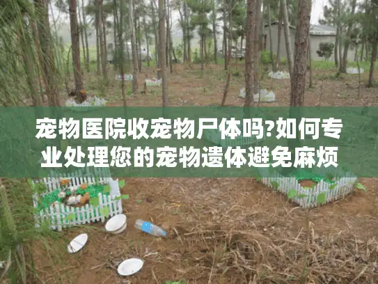 宠物医院收宠物尸体吗?如何专业处理您的宠物遗体避免麻烦