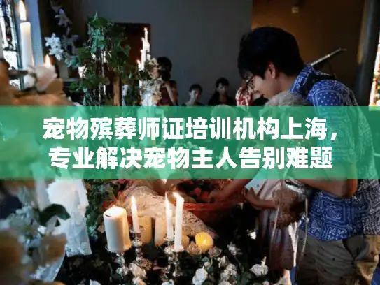 宠物殡葬师证培训机构上海，专业解决宠物主人告别难题