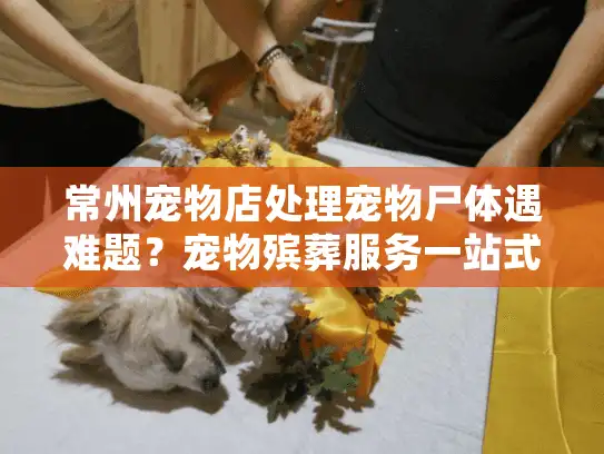 常州宠物店处理宠物尸体遇难题？宠物殡葬服务一站式解决