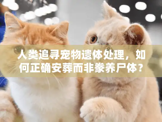 人类追寻宠物遗体处理，如何正确安葬而非豢养尸体？