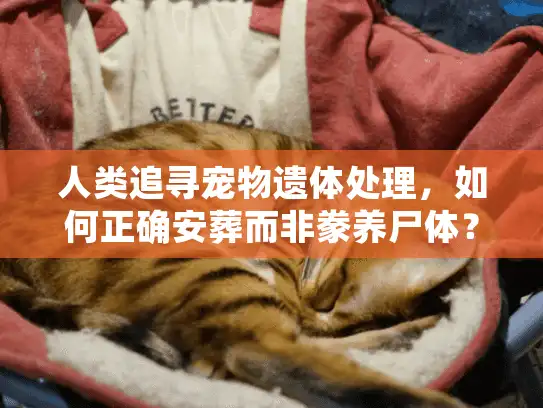 人类追寻宠物遗体处理，如何正确安葬而非豢养尸体？