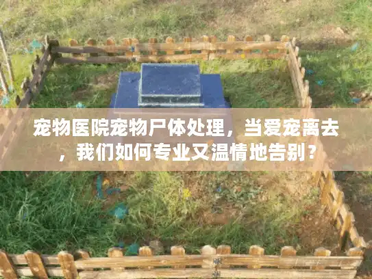宠物医院宠物尸体处理，当爱宠离去，我们如何专业又温情地告别？