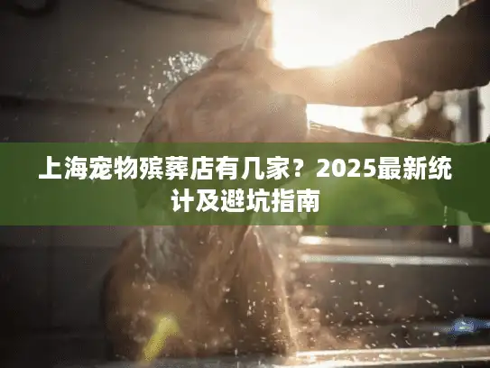 上海宠物殡葬店有几家？2025最新统计及避坑指南