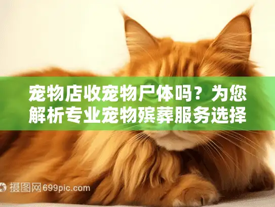 宠物店收宠物尸体吗？为您解析专业宠物殡葬服务选择