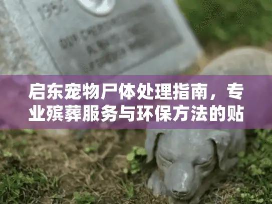 启东宠物尸体处理指南，专业殡葬服务与环保方法的贴心解答