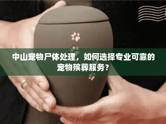 中山宠物尸体处理，如何选择专业可靠的宠物殡葬服务？