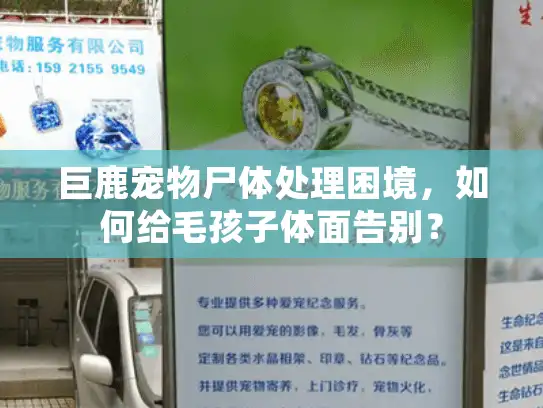 巨鹿宠物尸体处理困境，如何给毛孩子体面告别？