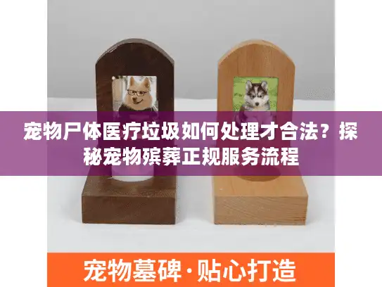 宠物尸体医疗垃圾如何处理才合法？探秘宠物殡葬正规服务流程