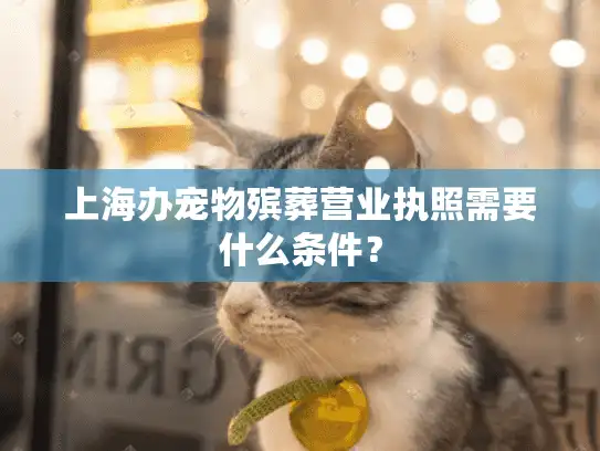 上海办宠物殡葬营业执照需要什么条件？
