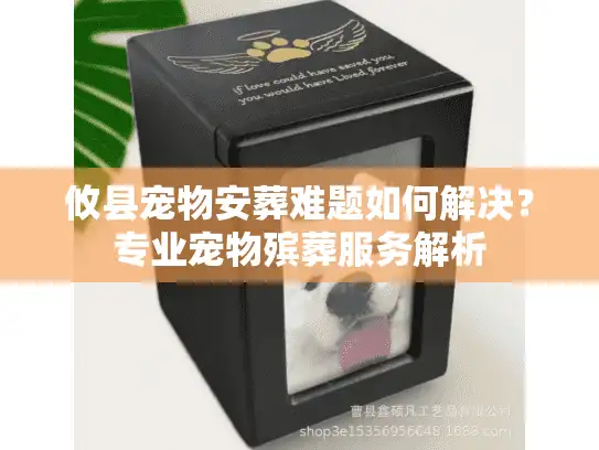 攸县宠物安葬难题如何解决？专业宠物殡葬服务解析