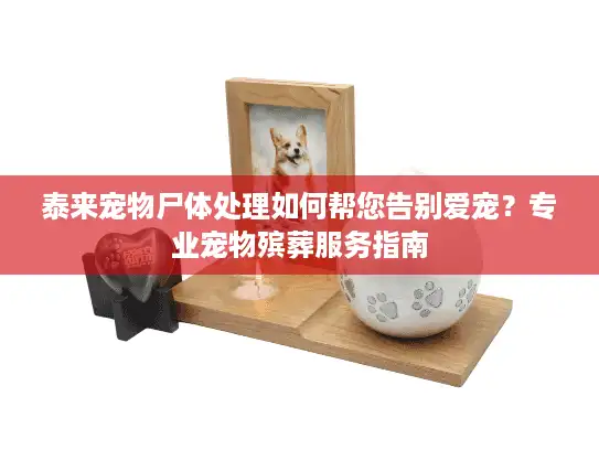 泰来宠物尸体处理如何帮您告别爱宠？专业宠物殡葬服务指南