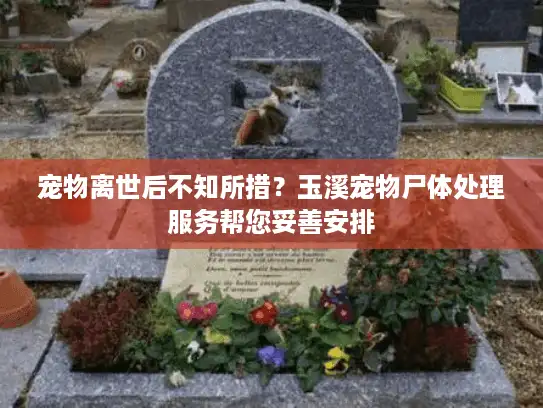 宠物离世后不知所措？玉溪宠物尸体处理服务帮您妥善安排