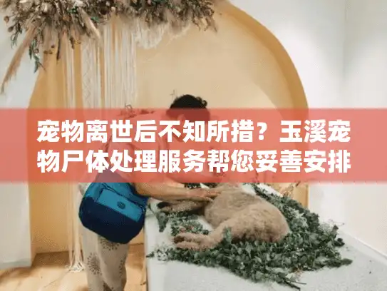 宠物离世后不知所措？玉溪宠物尸体处理服务帮您妥善安排