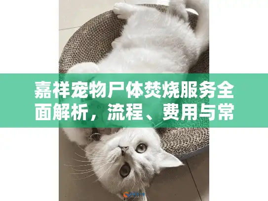 嘉祥宠物尸体焚烧服务全面解析，流程、费用与常见问题指南