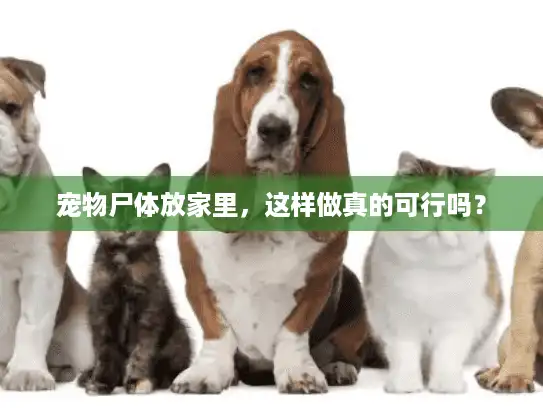 宠物尸体放家里，这样做真的可行吗？