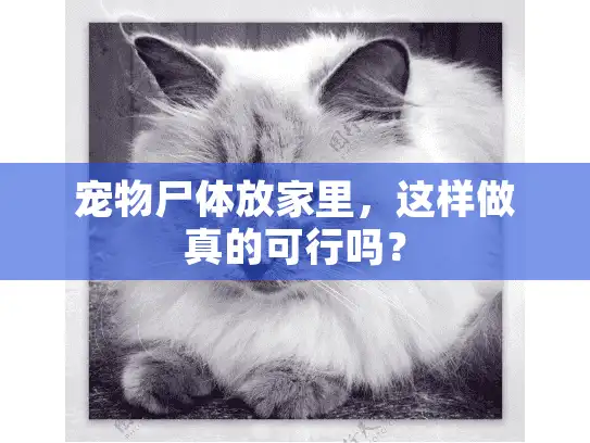 宠物尸体放家里，这样做真的可行吗？