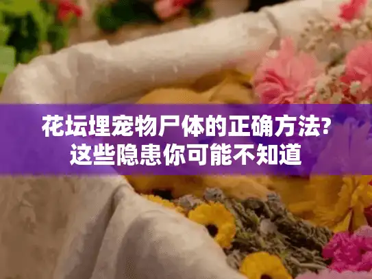 花坛埋宠物尸体的正确方法?这些隐患你可能不知道