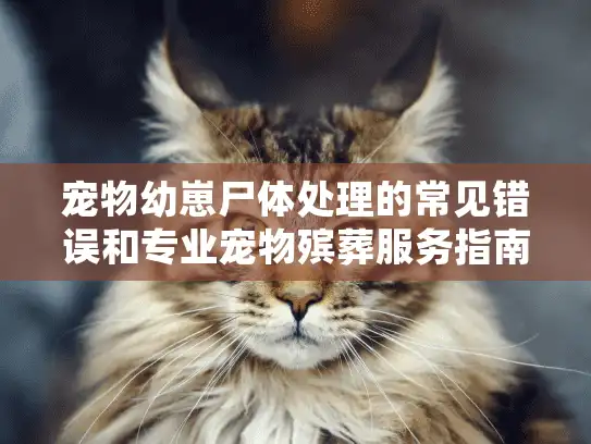 宠物幼崽尸体处理的常见错误和专业宠物殡葬服务指南