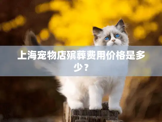 上海宠物店殡葬费用价格是多少？