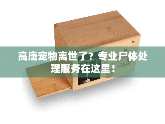 高唐宠物离世了？专业尸体处理服务在这里！