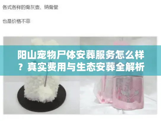 阳山宠物尸体安葬服务怎么样？真实费用与生态安葬全解析