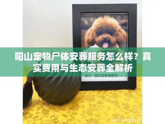 阳山宠物尸体安葬服务怎么样？真实费用与生态安葬全解析
