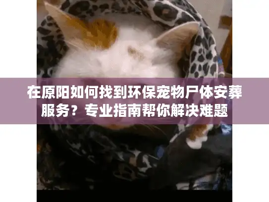 在原阳如何找到环保宠物尸体安葬服务？专业指南帮你解决难题