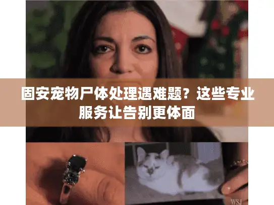 固安宠物尸体处理遇难题？这些专业服务让告别更体面