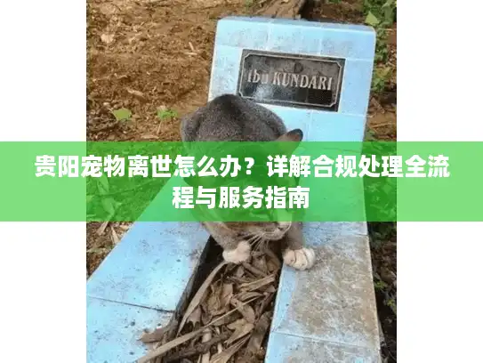 贵阳宠物离世怎么办？详解合规处理全流程与服务指南