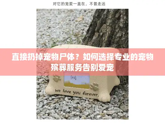 直接扔掉宠物尸体？如何选择专业的宠物殡葬服务告别爱宠