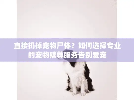 直接扔掉宠物尸体？如何选择专业的宠物殡葬服务告别爱宠