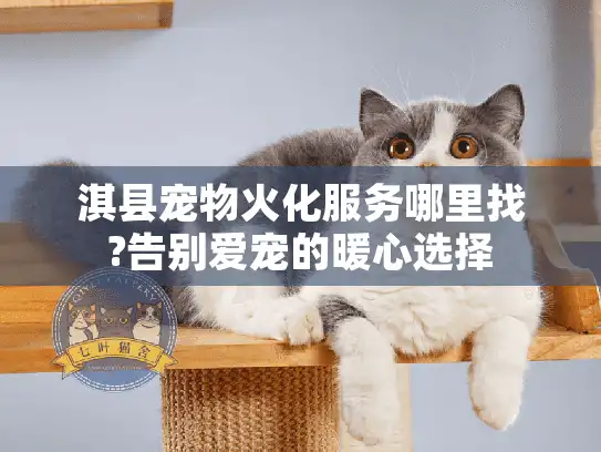 淇县宠物火化服务哪里找?告别爱宠的暖心选择