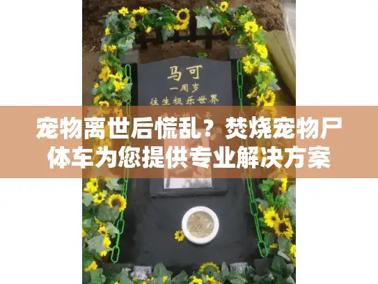 宠物离世后慌乱？焚烧宠物尸体车为您提供专业解决方案