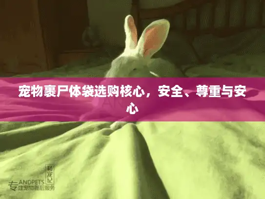 宠物裹尸体袋选购核心，安全、尊重与安心