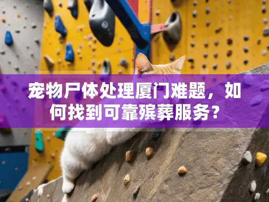 宠物尸体处理厦门难题，如何找到可靠殡葬服务？