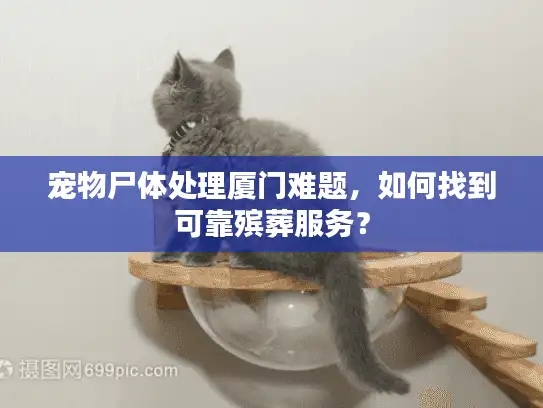 宠物尸体处理厦门难题，如何找到可靠殡葬服务？