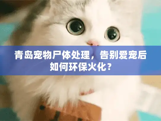 青岛宠物尸体处理，告别爱宠后如何环保火化？