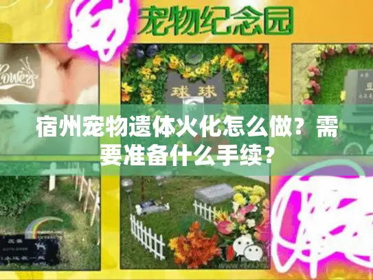 宿州宠物遗体火化怎么做？需要准备什么手续？