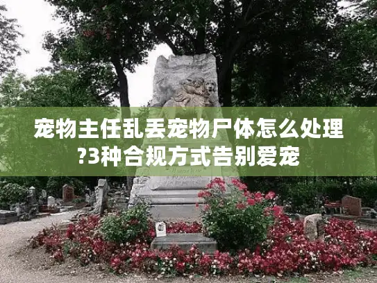 宠物主任乱丢宠物尸体怎么处理?3种合规方式告别爱宠