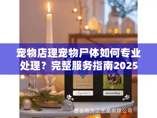 宠物店理宠物尸体如何专业处理？完整服务指南2025
