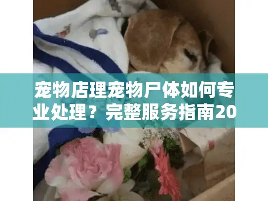 宠物店理宠物尸体如何专业处理？完整服务指南2025