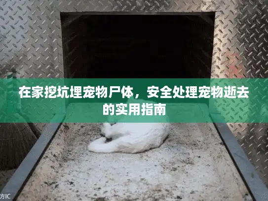 在家挖坑埋宠物尸体，安全处理宠物逝去的实用指南