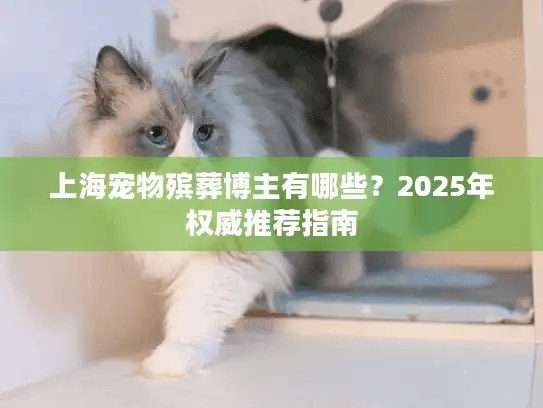 上海宠物殡葬博主有哪些？2025年权威推荐指南