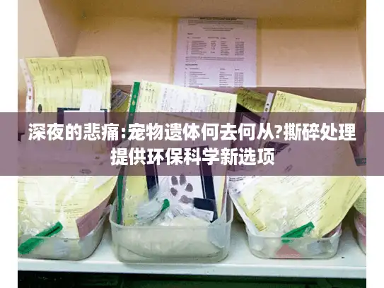 深夜的悲痛:宠物遗体何去何从?撕碎处理提供环保科学新选项