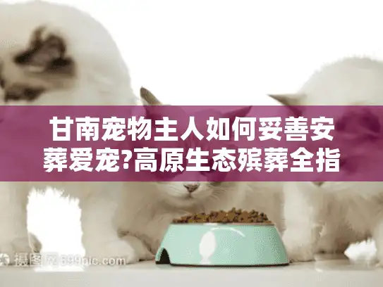 甘南宠物主人如何妥善安葬爱宠?高原生态殡葬全指南
