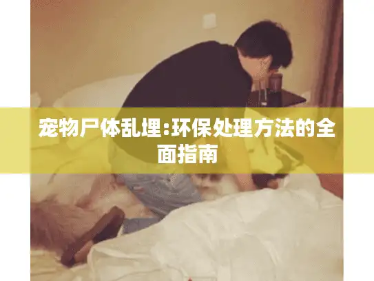宠物尸体乱埋:环保处理方法的全面指南
