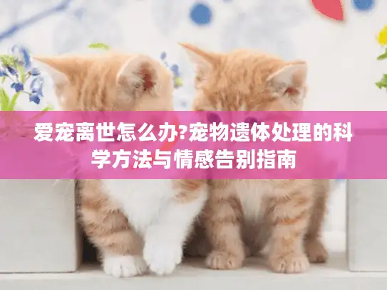 爱宠离世怎么办?宠物遗体处理的科学方法与情感告别指南