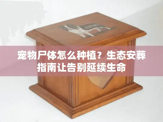 宠物尸体怎么种植？生态安葬指南让告别延续生命