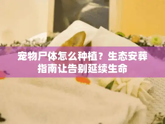 宠物尸体怎么种植？生态安葬指南让告别延续生命