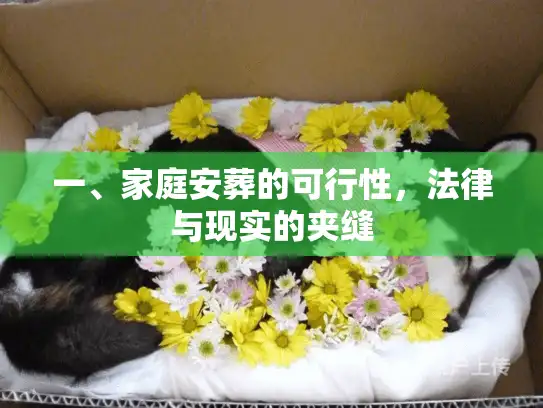 一、家庭安葬的可行性，法律与现实的夹缝